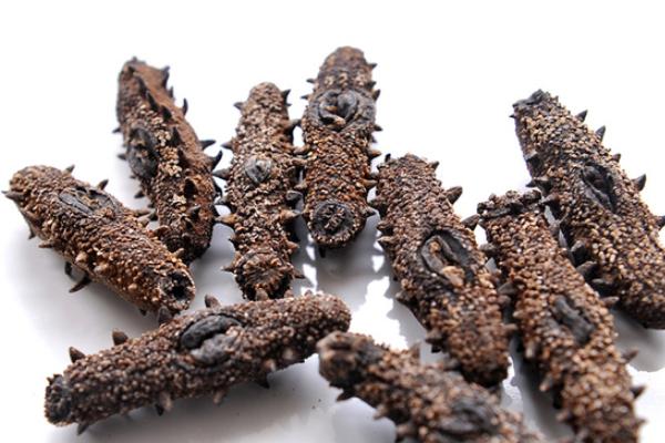 海參怎么吃最有營養?