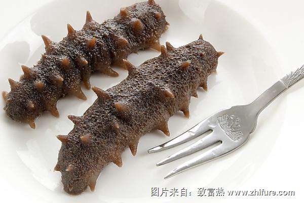 即食海參和干海參哪個好？
