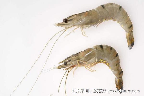 爆炒大蝦的做法大全