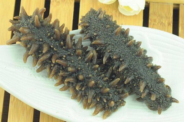 刺參和海參的區別是什么?