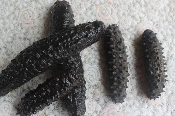 刺參和海參的區別是什么?