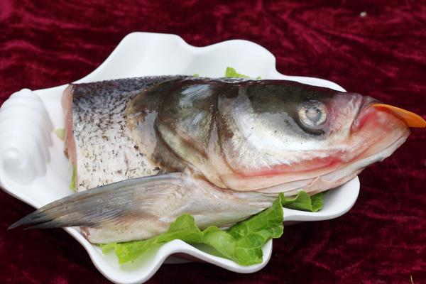 花鰱的營養價值及功效與作用