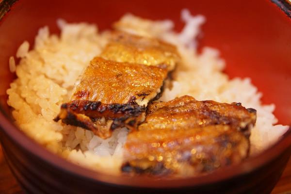 鰻魚的家常做法大全