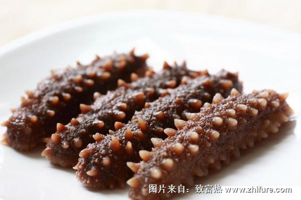 野生海參和養(yǎng)殖海參的區(qū)別是什么？