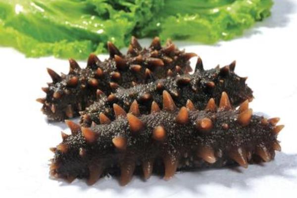 野生海參和養殖海參的區別是什么？