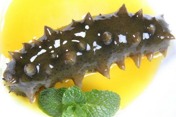 野生海參和養殖海參的區別是什么？