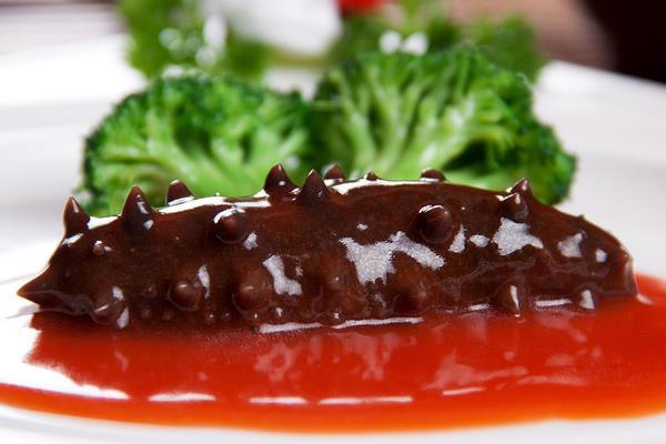 野生海參和養殖海參的區別是什么？