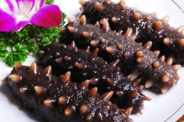 野生海參和養殖海參的區別是什么？