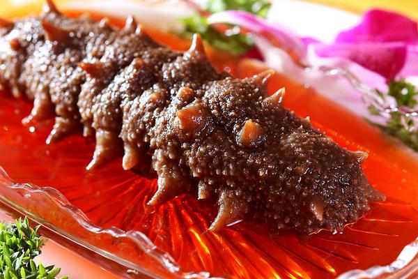 野生海參和養殖海參的區別是什么？