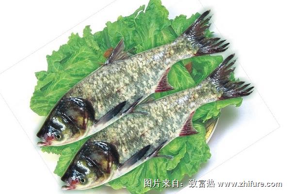 孕婦能吃花鰱嗎？