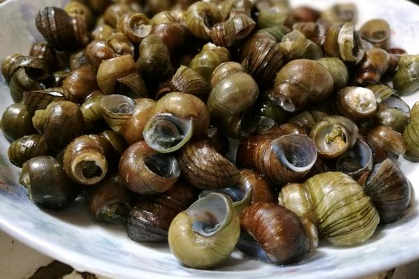 田螺壯陽嗎？