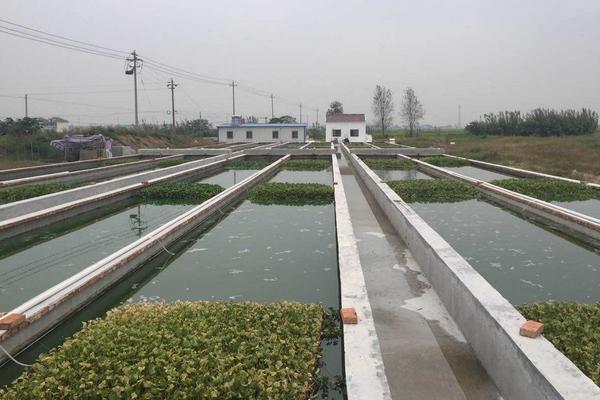 水蛭養殖池的建造圖片