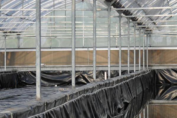 水蛭養殖池的建造圖片