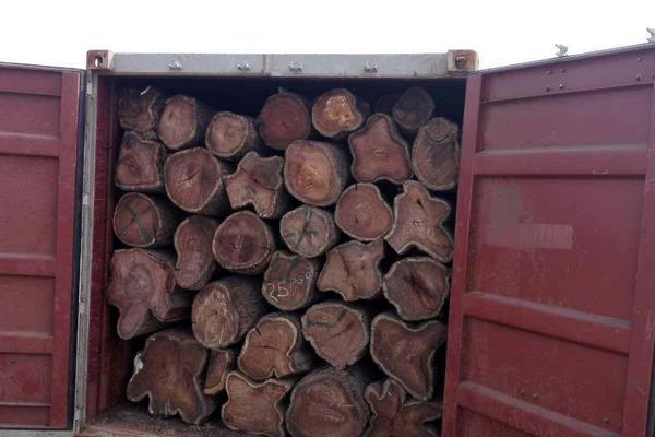 刺猬紫檀與非洲花梨的區(qū)別？ 