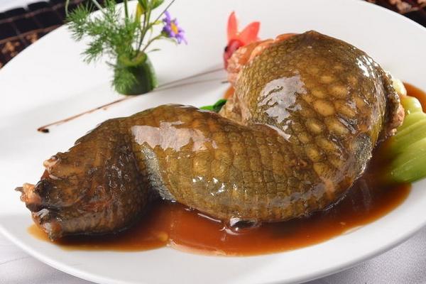 鱷魚菜譜有哪些？