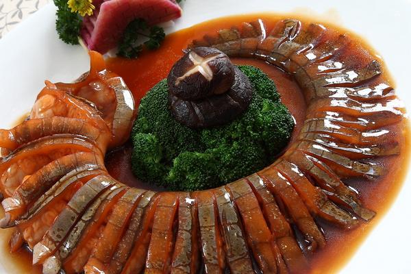 鱷魚菜譜有哪些？