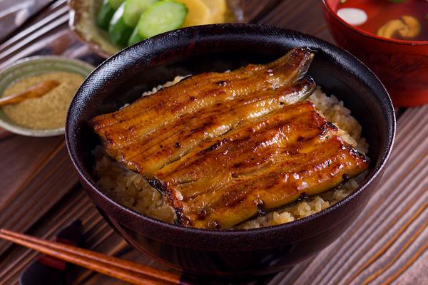 鰻魚價格多少錢一斤？