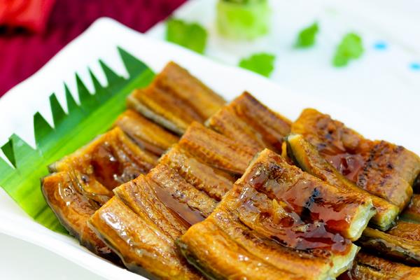 鰻魚價格多少錢一斤？