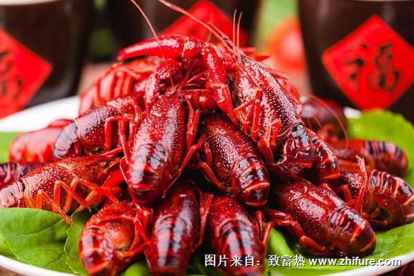 小龍蝦怎么吃？