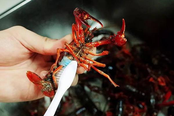 小龍蝦怎么吃？
