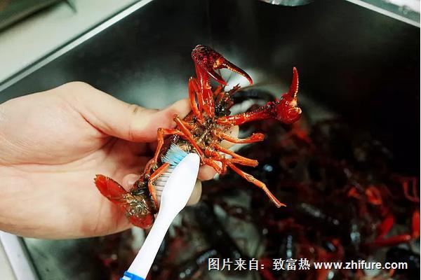 小龍蝦怎么清洗干凈？