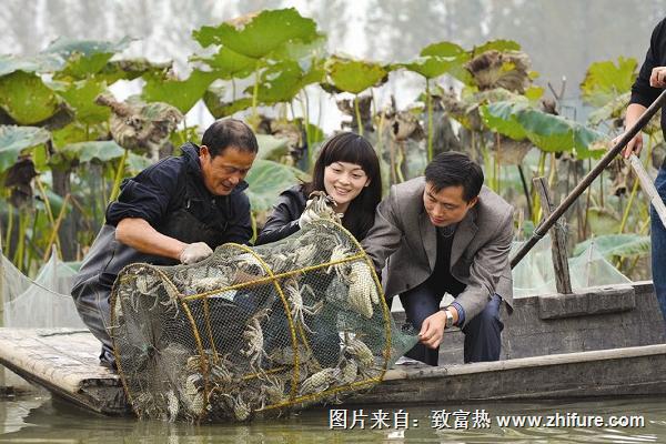 螃蟹怎么養？如何養螃蟹？
