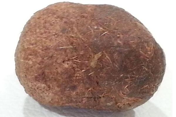 豪豬棗的功效與作用及禁忌