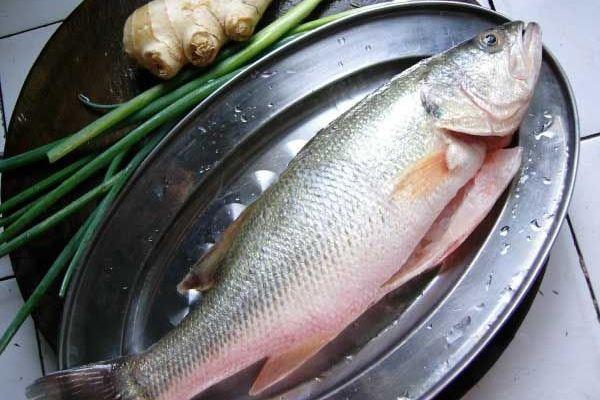 清蒸鱸魚的家常做法大全