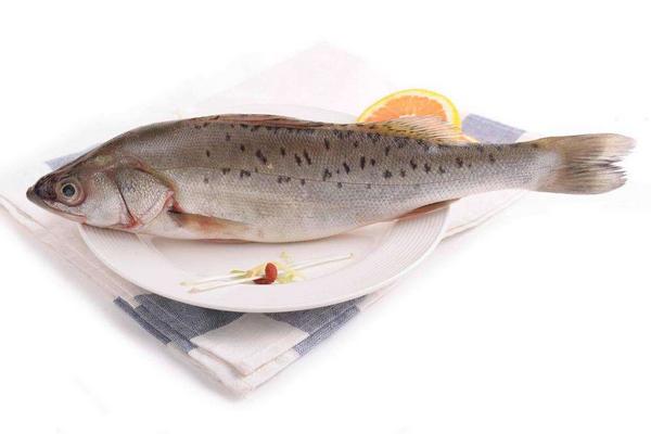 清蒸鱸魚的家常做法大全