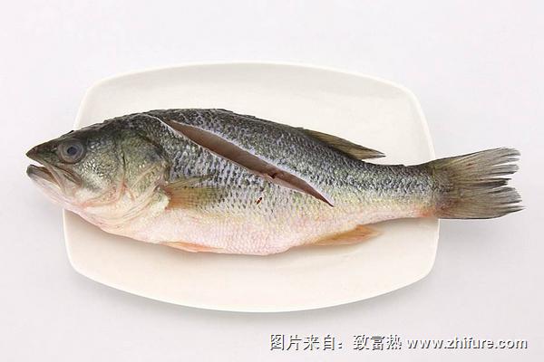 清蒸鱸魚的家常做法大全