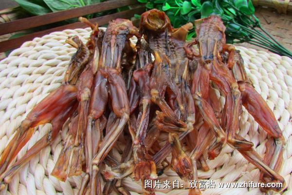 青蛙肉的營養(yǎng)價值