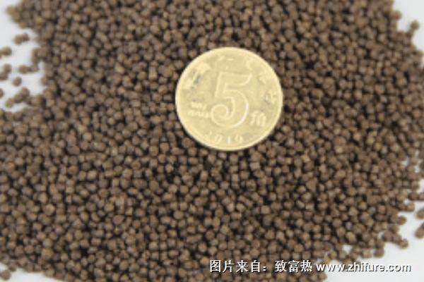 鱘魚飼料價格貴不貴？