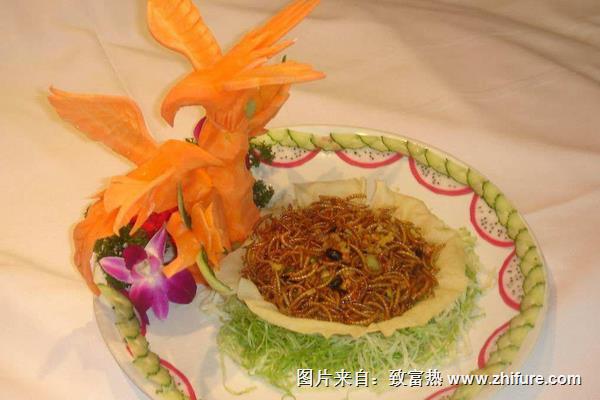 黃粉蟲可以吃嗎?