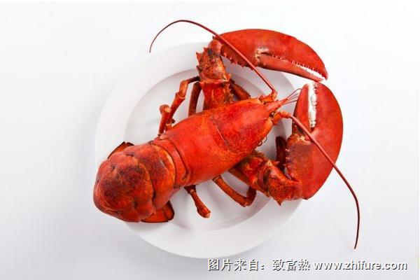 波士頓龍蝦多少錢一斤？