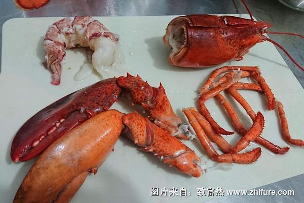 波士頓龍蝦做法大全
