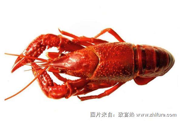 油燜小龍蝦怎么做？