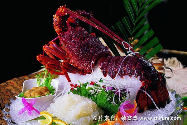 澳洲龍蝦多少錢一斤？