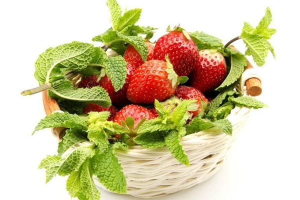 種一畝草莓能賺多少錢?種草莓的成本和利潤