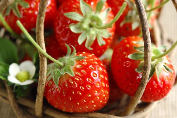 種一畝草莓能賺多少錢?種草莓的成本和利潤