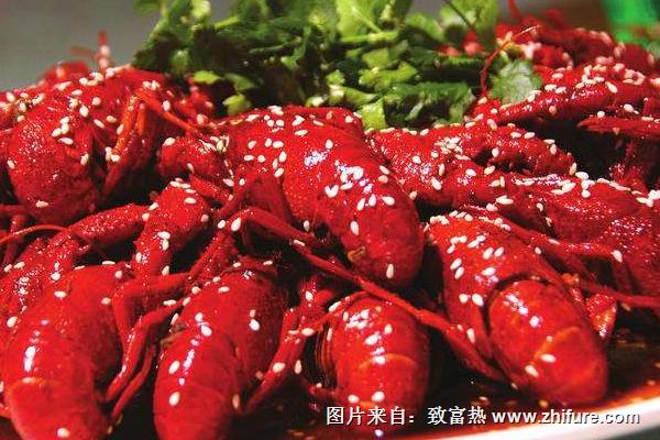 小龍蝦是海鮮嗎？