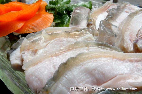 鱷魚肉營養價值有哪些？