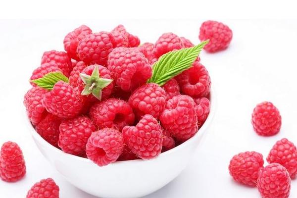 種一畝樹莓能賺多少錢？種樹莓的成本和利潤