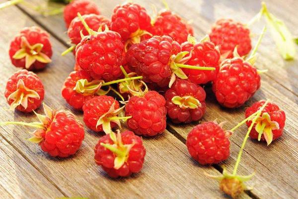 種一畝樹莓能賺多少錢？種樹莓的成本和利潤