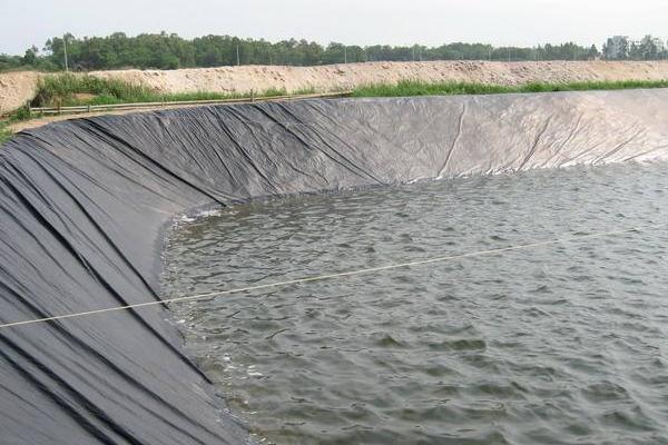 養(yǎng)蝦的利潤