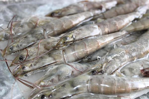 爆炒蝦仁的做法大全