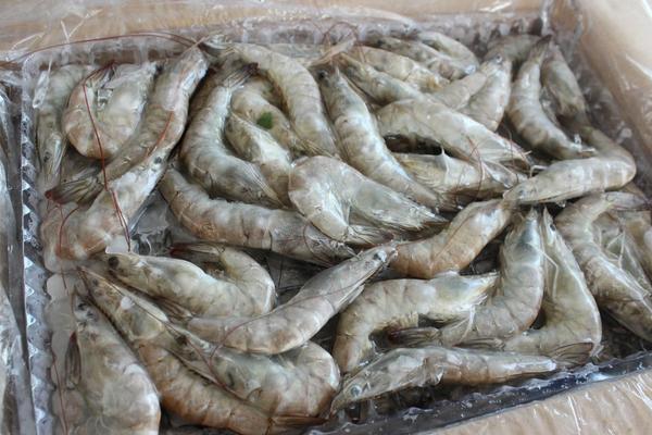 凍大蝦怎么做好吃?