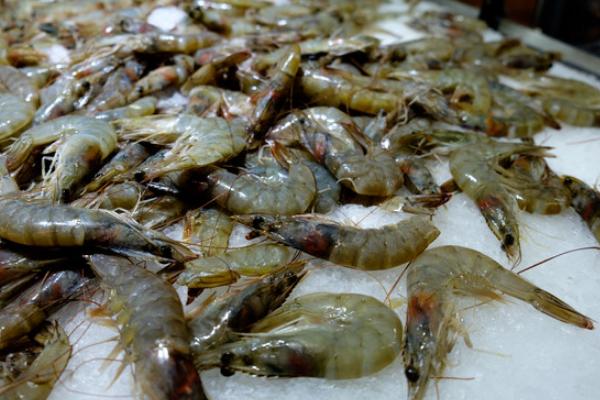 番茄燜大蝦的做法大全