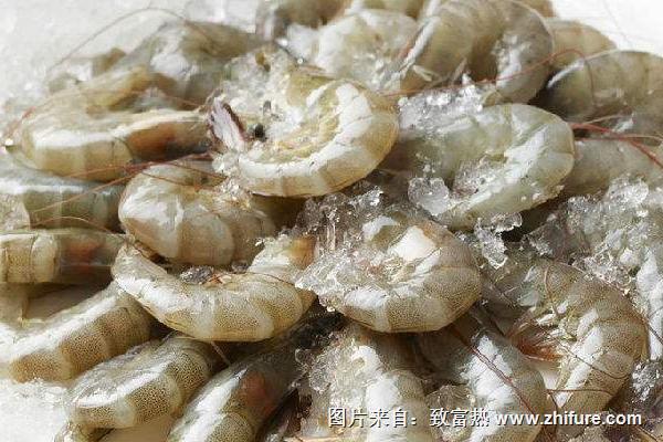 南美白對蝦多少錢一斤?