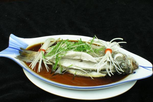 石斑魚的營養價值