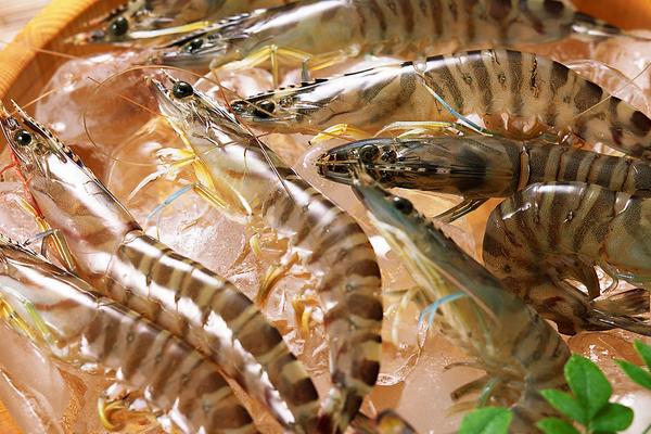 酥炸大蝦的做法大全